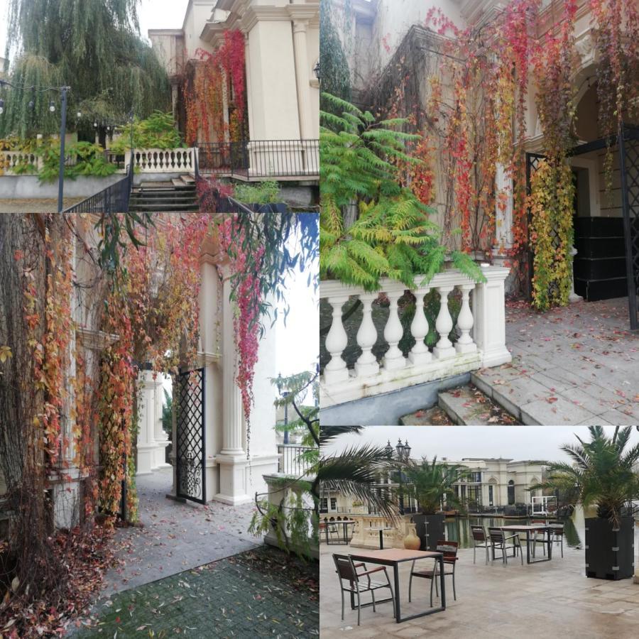 Michałowice Hotel Venecia Palace מראה חיצוני תמונה